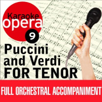 Czech Symphony Orchestra & Julian Bigg - Turandot: Nessun Dorma - Andante Sostenuto (no Vocals) [Karaoke Version]