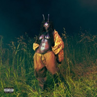 SZA - What Do I Do