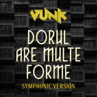 VUNK - Dorul are multe forme (Symphonic Version)