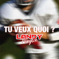 Landy & Franglish - Tu veux quoi