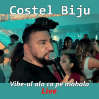 Costel Biju - Vibe-ul ala ca pe mahala (Live)